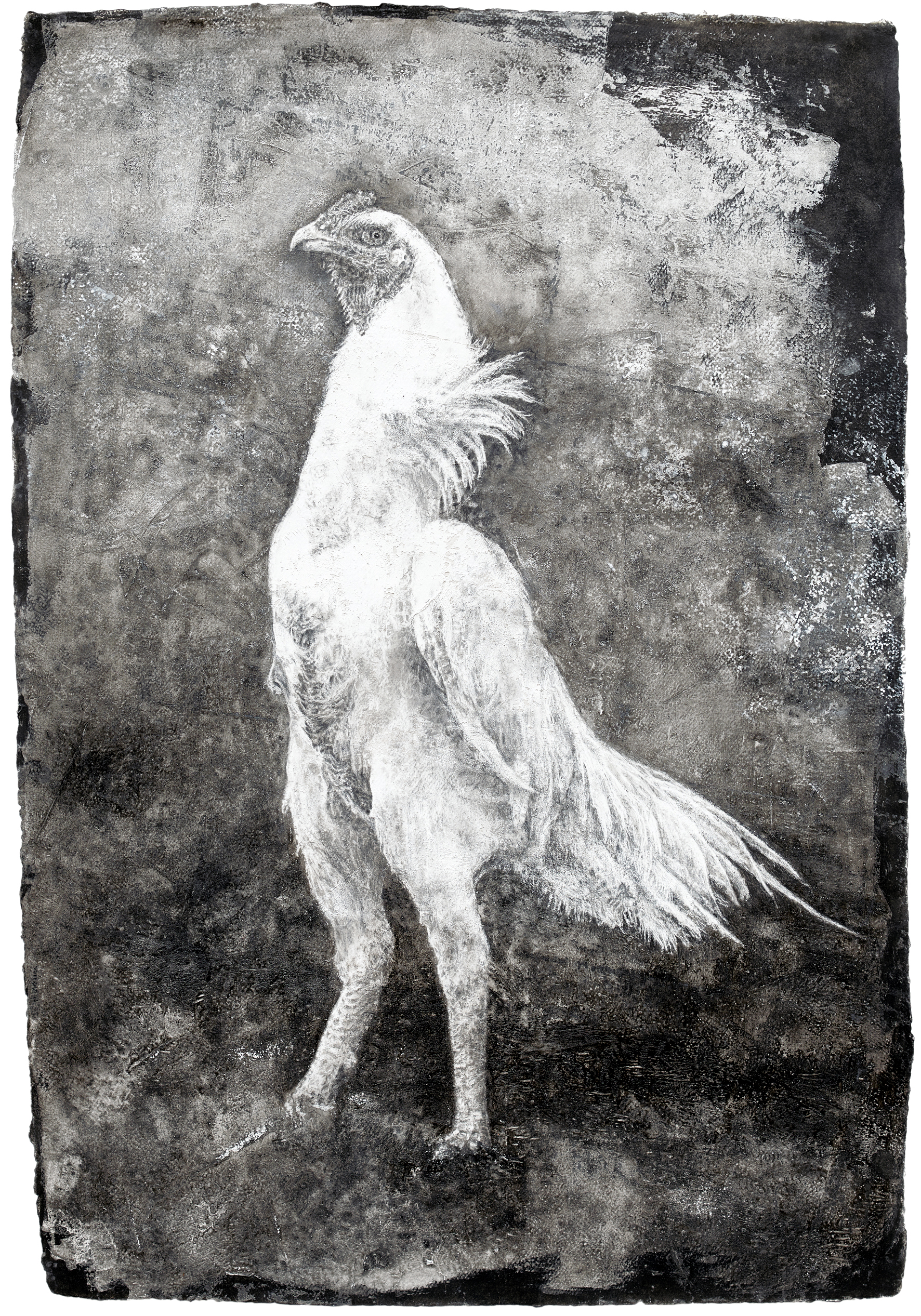 Ramona Schnekenburger, Fighting Cock 1, 2021, Oil and Pencil on handmade Paper, 99,5 x 68,7 cm.
