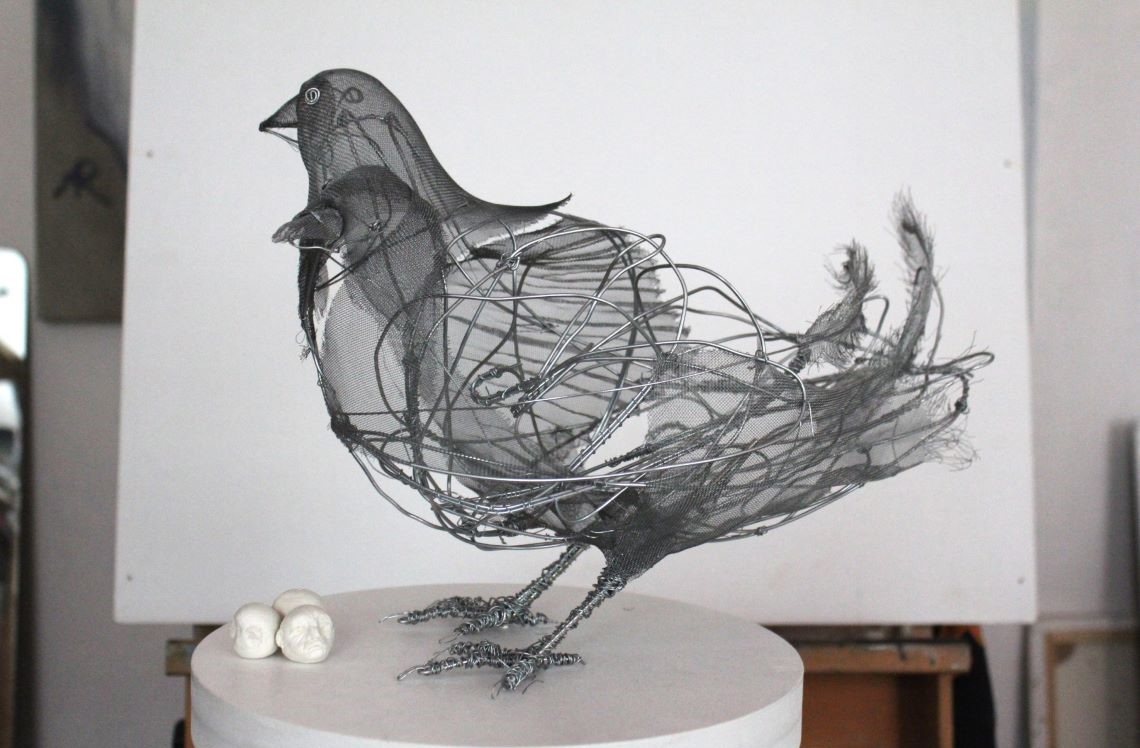 doppeltaube-web